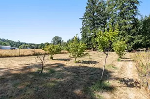 364 Blanchard Rd, Centralia, WA 98531 - Photo 28