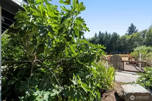 364 Blanchard Rd, Centralia, WA 98531 - Photo 30