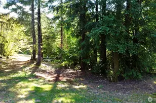 300 E Sunset Ridge Rd, Union, WA 98592 - Photo 16