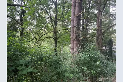 0 NE 179th Street, Woodinville, WA 98072 - Photo 4