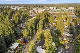 263 N 171st St, Shoreline, WA 98133 - Photo 38