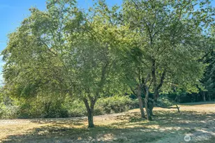 405 Italian Creek Rd, Kalama, WA 98625 - Photo 30