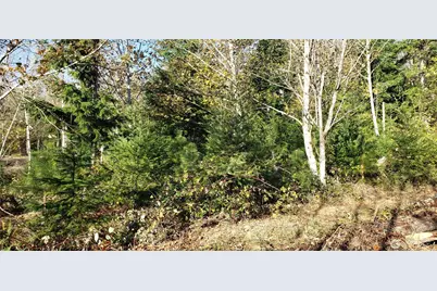365 Xx Cumberland Ridge Road SE, Enumclaw, WA 98022 - Photo 22