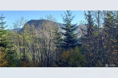 365 Xx Cumberland Ridge Road SE, Enumclaw, WA 98022 - Photo 20