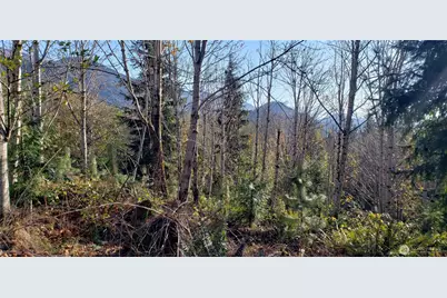 365 Xx Cumberland Ridge Road SE, Enumclaw, WA 98022 - Photo 18