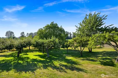 2752 Douglas Road, Ferndale, WA 98248 - Photo 36