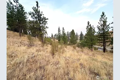 505 NW Road 20, Waterville, WA 98858 - Photo 38