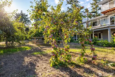 1407 Arnold Road, Oak Harbor, WA 98277 - Photo 40