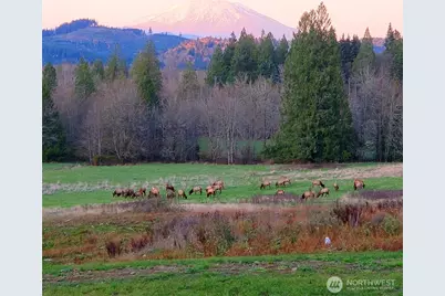 39827 NE Gerber McKee Road, Battle Ground, WA 98601 - Photo 40