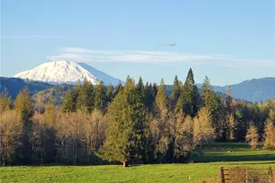 39827 NE Gerber-McKee Rd, Battle Ground, WA 98601 - Photo 38