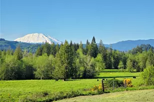 39827 NE Gerber-McKee Rd, Battle Ground, WA 98601 - Photo 4