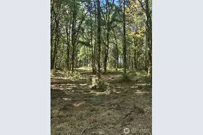 144 Dowling Road, Toledo, WA 98591 - Photo 2