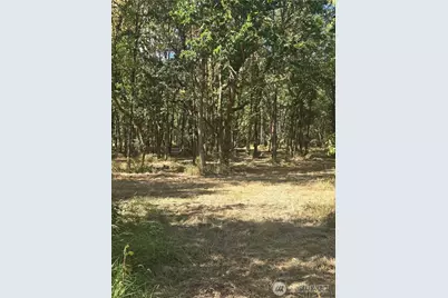 144 Dowling Road, Toledo, WA 98591 - Photo 14