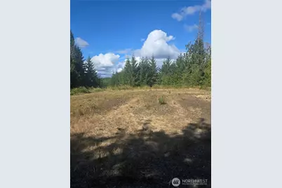 144 Dowling Road, Toledo, WA 98591 - Photo 10