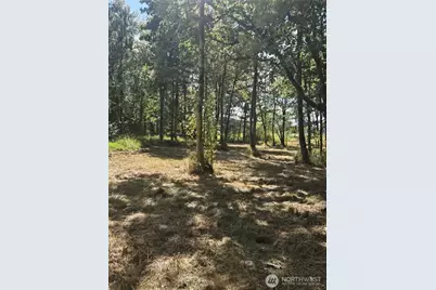 144 Dowling Road, Toledo, WA 98591 - Photo 4