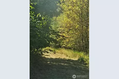 144 Dowling Road, Toledo, WA 98591 - Photo 12