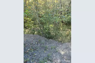 144 Dowling Road, Toledo, WA 98591 - Photo 16