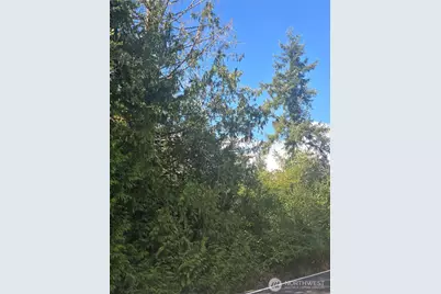 144 Dowling Road, Toledo, WA 98591 - Photo 20