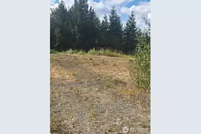 144 Dowling Road, Toledo, WA 98591 - Photo 6