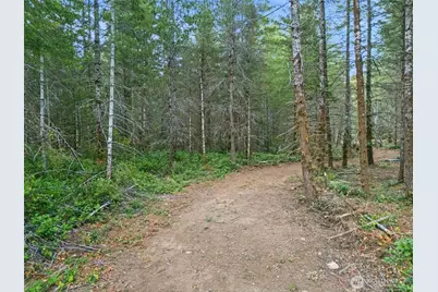 131 E Webb Hill Road, Union, WA 98592 - Photo 8
