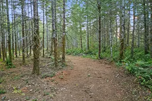 131 E Webb Hill Rd, Union, WA 98592 - Photo 1