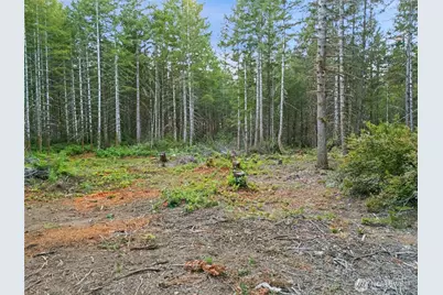 131 E Webb Hill Road, Union, WA 98592 - Photo 6