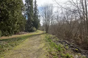 334 Dungeness Meadows, Sequim, WA 98382 - Photo 40