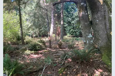 10919 Riviera Drive, Anderson Island, WA 98303 - Photo 1
