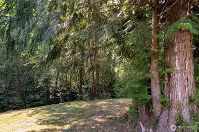 420 Proffitt Road, Centralia, WA 98531 - Photo 20