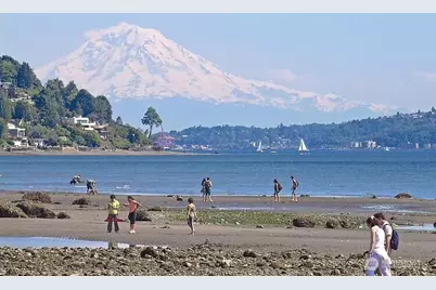 3833 23rd Avenue W #B, Seattle, WA 98199 - Photo 22