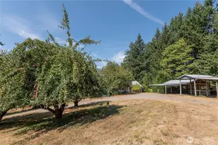 20648 Backman Rd SW, Rochester, WA 98579 - Photo 8