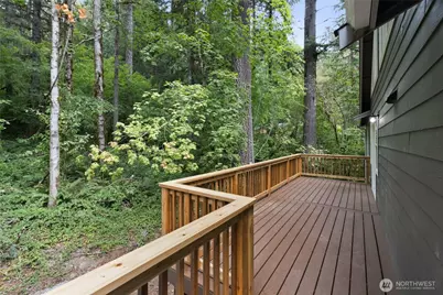31715 Mount Tahoma Canyon Rd E, Ashford, WA 98304 - Photo 38