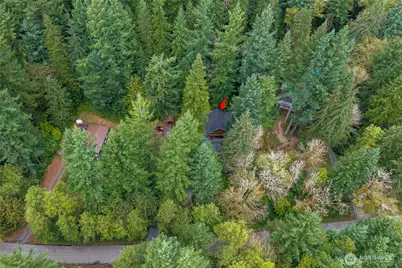 31715 Mount Tahoma Canyon Rd E, Ashford, WA 98304 - Photo 40