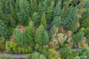 31715 Mt Tahoma Canyon Rd E, Ashford, WA 98304 - Photo 40