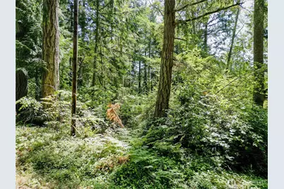 12212 Sound Drive, Anderson Island, WA 98303 - Photo 1
