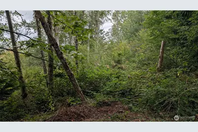 7964 My Way, Sedro Woolley, WA 98284 - Photo 12