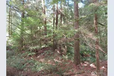 0 Xxx State Route 101, South Bend, WA 98586 - Photo 16