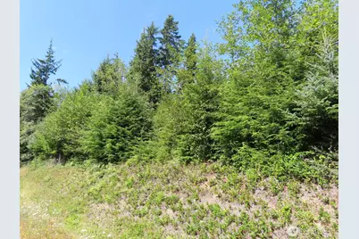 0 Xxx State Route 101, South Bend, WA 98586 - Photo 18