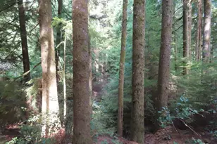 0 Xxx State Route 101, South Bend, WA 98586 - Photo 1