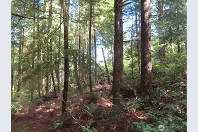 0 Xxx State Route 101, South Bend, WA 98586 - Photo 6