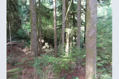 0 Xxx State Route 101, South Bend, WA 98586 - Photo 14
