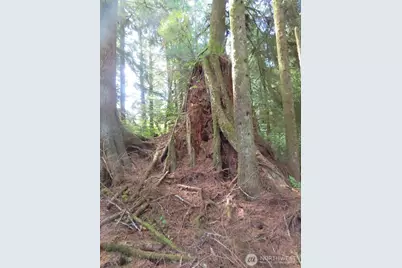 0 Xxx State Route 101, South Bend, WA 98586 - Photo 26