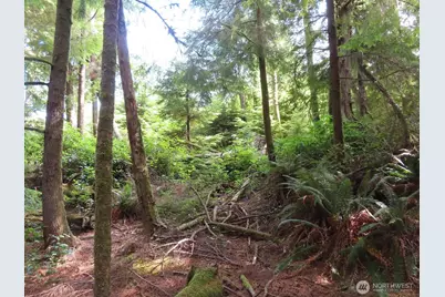 0 Xxx State Route 101, South Bend, WA 98586 - Photo 28
