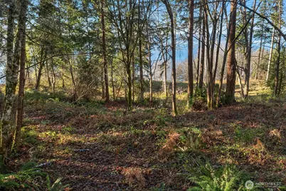 629 3rd Avenue, Fox Island, WA 98333 - Photo 16