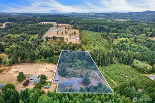 453 Haywire Rd, Winlock, WA 98596 - Photo 34