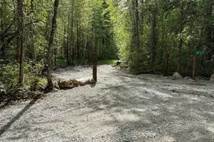 0 42nd Ave S, Roy, WA 98580 - Photo 1