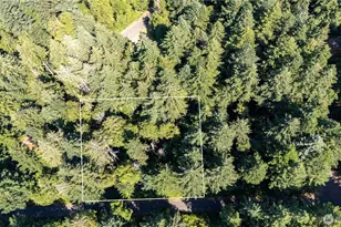 8819 Eckenstam Johnson Rd, Anderson Island, WA 98303 - Photo 1