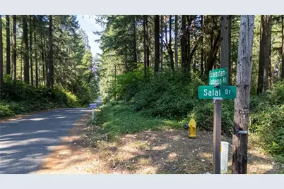 8819 Eckenstam Johnson Road, Anderson Island, WA 98303 - Photo 2