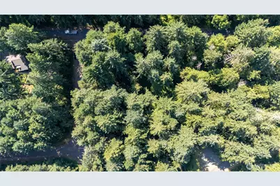 8819 Eckenstam Johnson Road, Anderson Island, WA 98303 - Photo 8