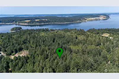 8819 Eckenstam Johnson Road, Anderson Island, WA 98303 - Photo 6